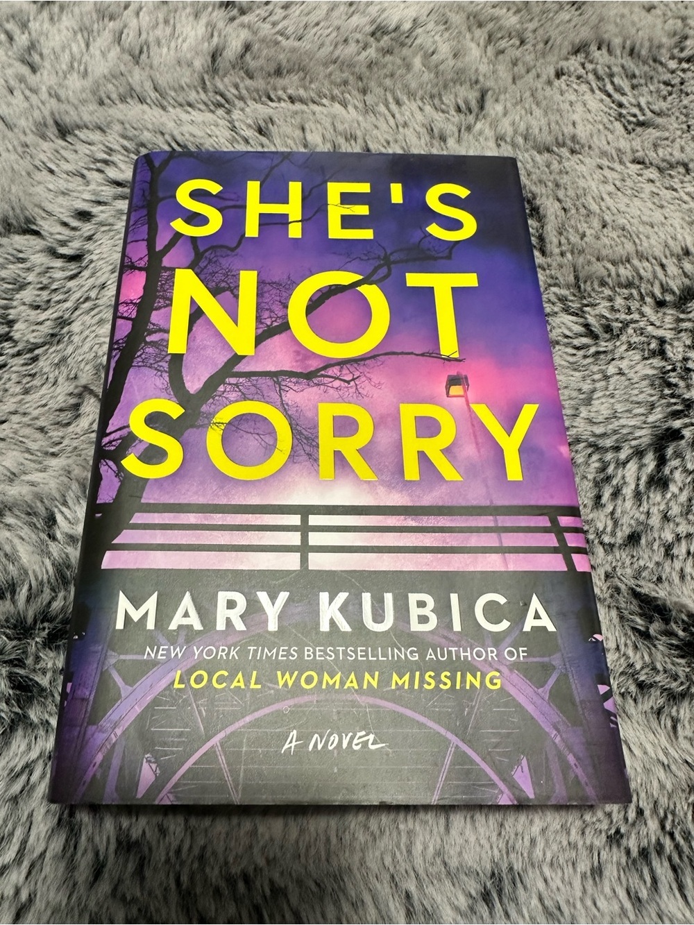 📚3 for $25 📚 She's Not Sorry by Mary Kubica